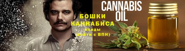 прущие грибы Зерноград