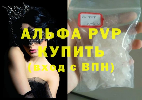 прущие грибы Зерноград
