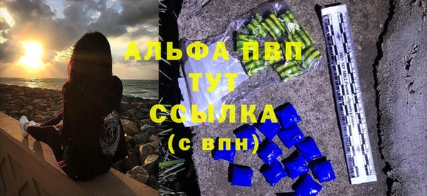 прущие грибы Зерноград