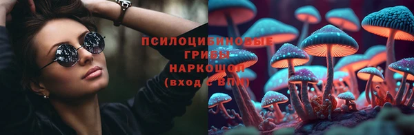 PSILOCYBIN Зеленокумск