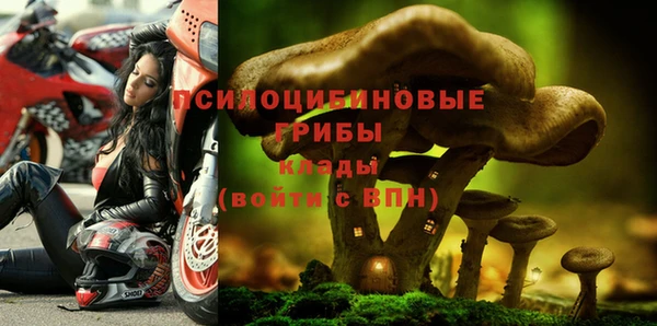 прущие грибы Зерноград