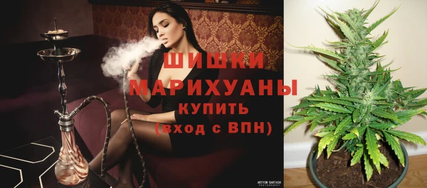 прущие грибы Зерноград