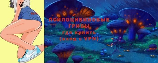 прущие грибы Зерноград